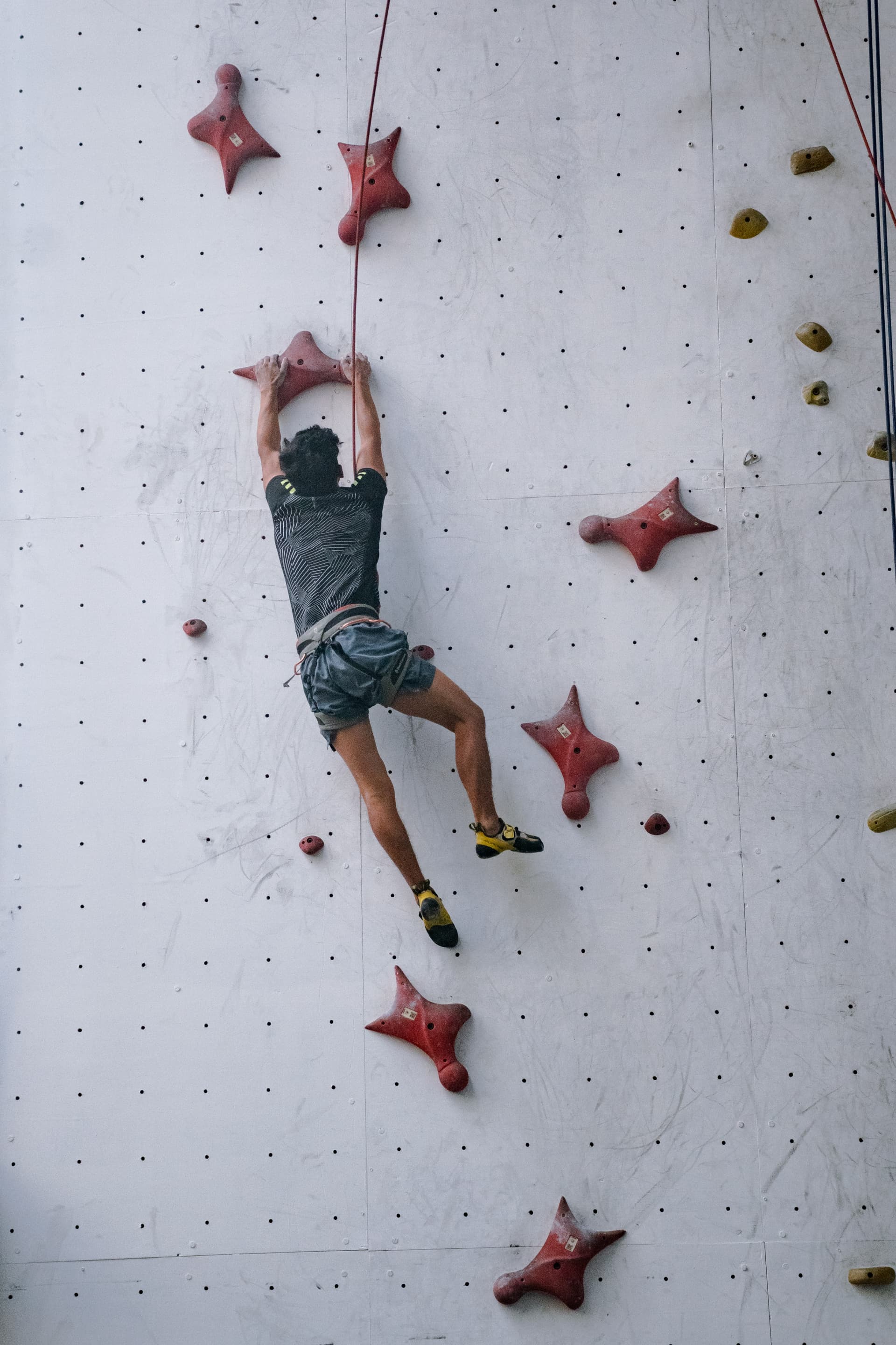 Speed Climbing